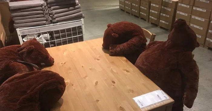 IKEA「厭世熊」爆紅！胖肚肚「不想努力了」、頹廢「沒骨頭攤坐」超療癒❤